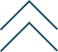Logo bordado livre